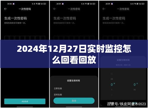 2024年12月27日实时监控回放查看指南