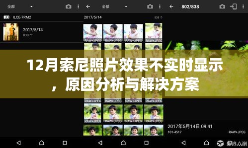 索尼照片效果不实时显示，原因解析与解决方案