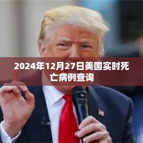 美国实时死亡病例查询（截至2024年12月27日）