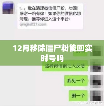 僵尸粉移除与实时号恢复，12月操作指南