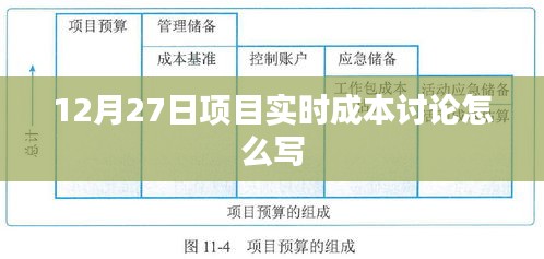 12月27日项目实时成本讨论与解析