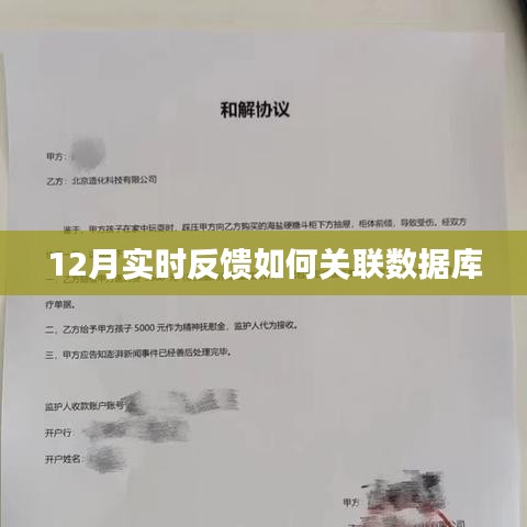 实时反馈与数据库关联之道，12月操作指南