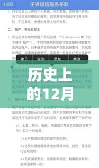 历史上的全美大选实时结果揭晓，聚焦十二月二十七日大选动态