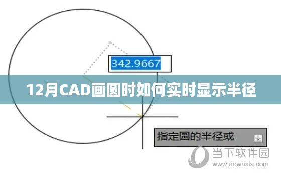 CAD画圆实时显示半径方法解析