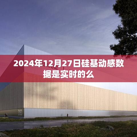 硅基动感数据实时性探讨，2024年12月27日数据准确性分析