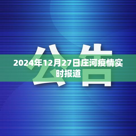 庄河疫情最新实时报道（XXXX年XX月XX日更新）