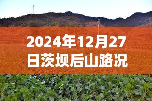 茨坝后山路况实时更新，查询表及指南