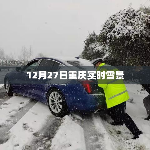 重庆实时雪景实拍