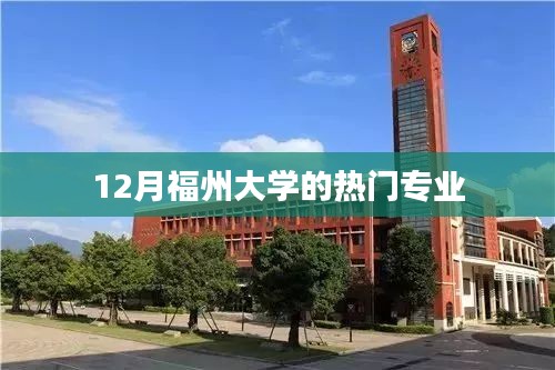 福州大学热门专业榜单（12月版）