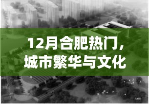 合肥12月热门活动，城市交响与文化繁荣