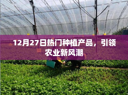 12月27日热门种植产品，农业新风潮引领者