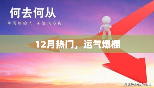 12月运势大热，好运爆棚时刻！