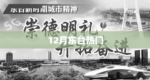 东台十二月热门事件全解析