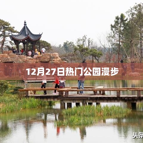 12月27日公园漫步，尽享自然之美