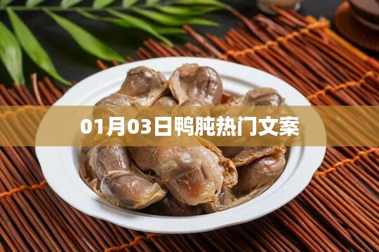 鸭肫热门文案大揭秘，精选内容，不容错过！