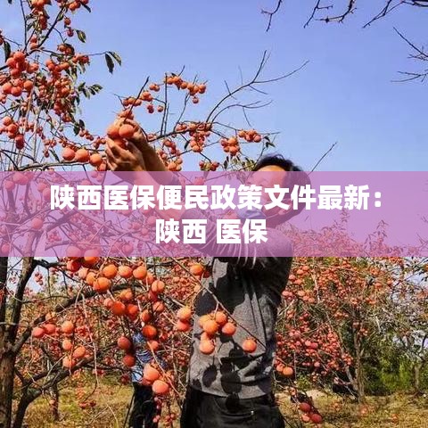 陕西医保便民政策文件最新：陕西 医保 