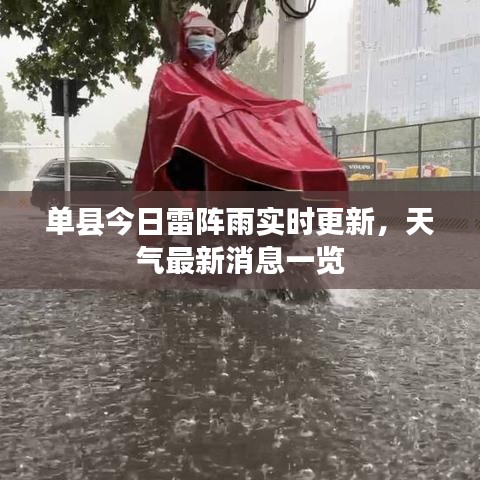 单县今日雷阵雨实时更新，天气最新消息一览