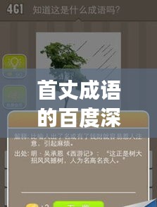 首丈成语的百度深度探索之旅