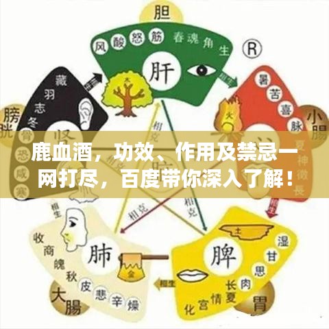 鹿血酒，功效、作用及禁忌一网打尽，百度带你深入了解！