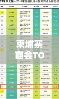 柬埔寨商会TOP10榜单揭晓，揭秘排名前十的商会！