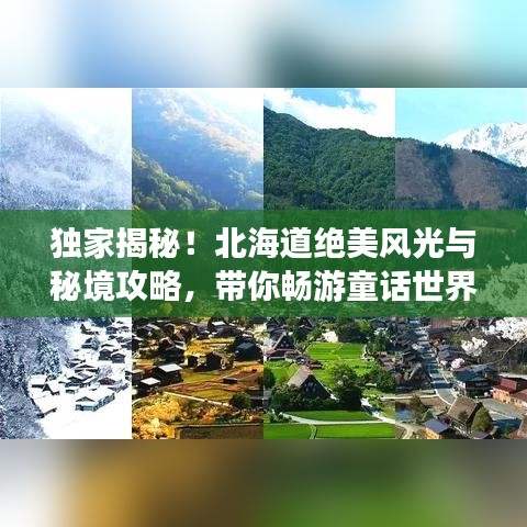 独家揭秘！北海道绝美风光与秘境攻略，带你畅游童话世界之旅！