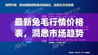 最新兔毛行情价格表，洞悉市场趋势，把握行业脉动