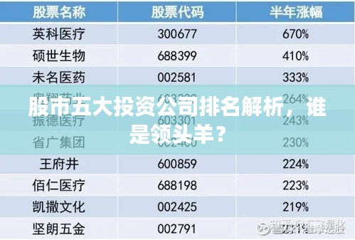 股市五大投资公司排名解析，谁是领头羊？