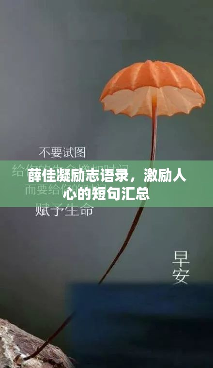 薛佳凝励志语录，激励人心的短句汇总