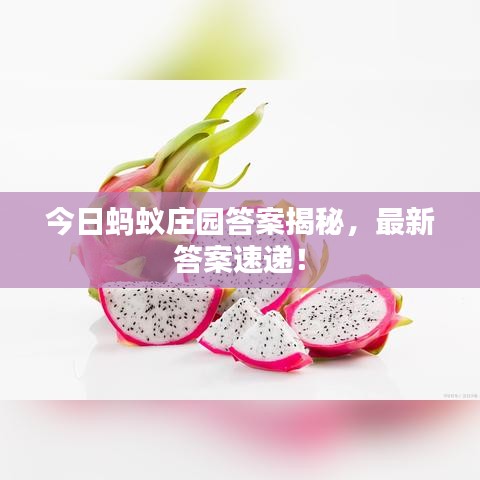 今日蚂蚁庄园答案揭秘，最新答案速递！