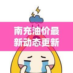 南充油价最新动态更新