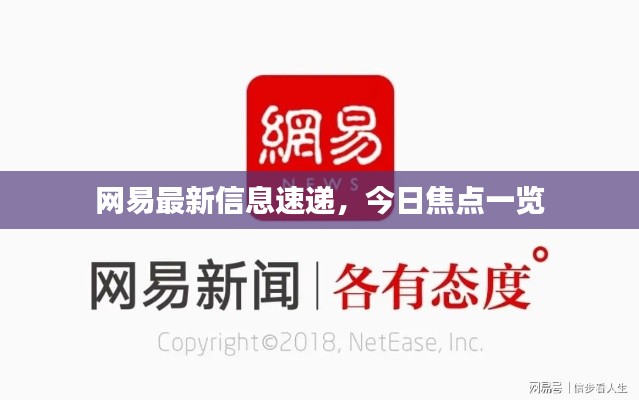 网易最新信息速递，今日焦点一览