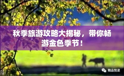 秋季旅游攻略大揭秘，带你畅游金色季节！