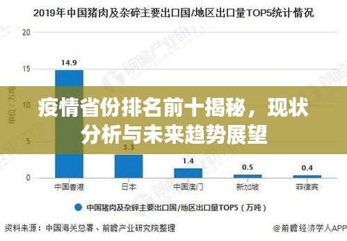 疫情省份排名前十揭秘，现状分析与未来趋势展望