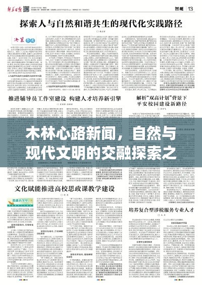 木林心路新闻，自然与现代文明的交融探索之路