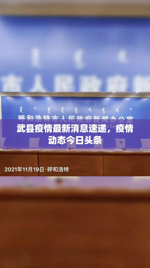 武县疫情最新消息速递，疫情动态今日头条
