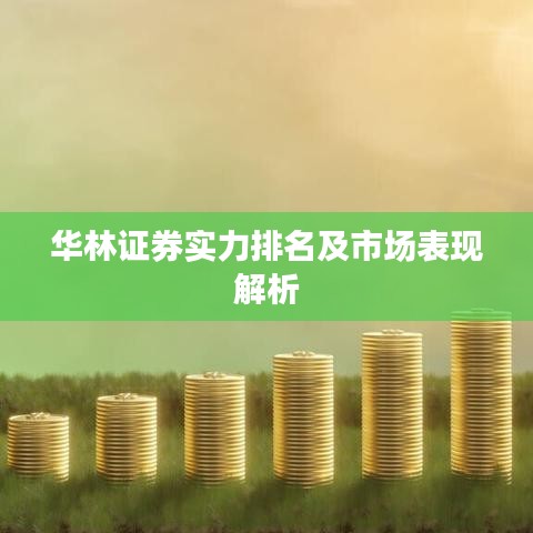 华林证券实力排名及市场表现解析
