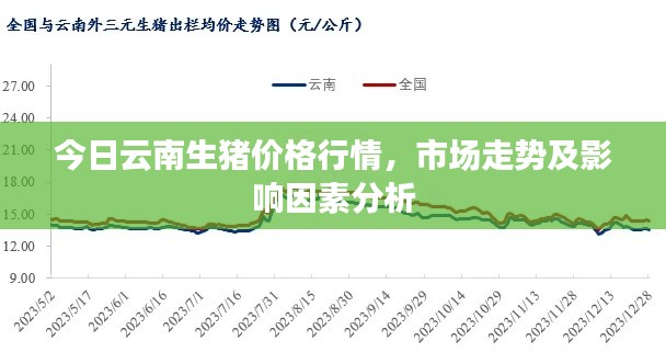 今日云南生猪价格行情，市场走势及影响因素分析