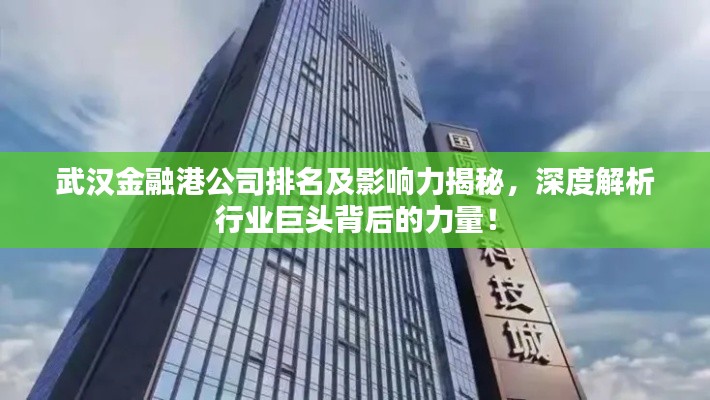 武汉金融港公司排名及影响力揭秘，深度解析行业巨头背后的力量！