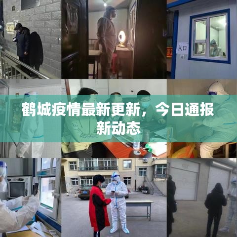 鹤城疫情最新更新，今日通报新动态