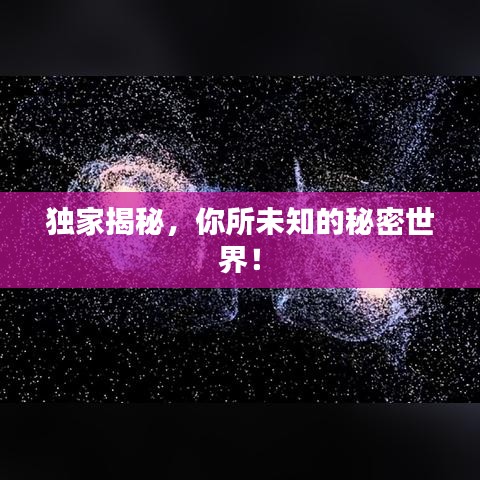 独家揭秘，你所未知的秘密世界！