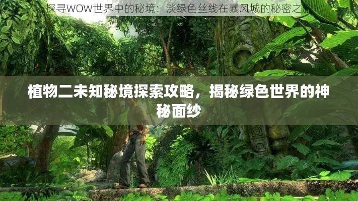 植物二未知秘境探索攻略，揭秘绿色世界的神秘面纱