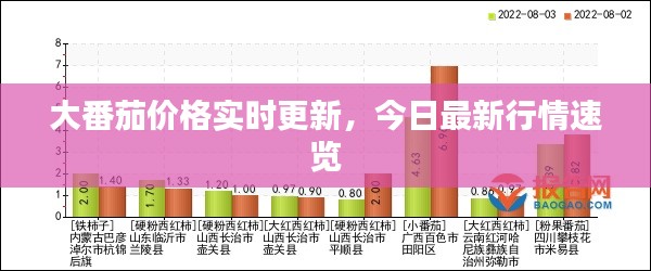 大番茄价格实时更新，今日最新行情速览