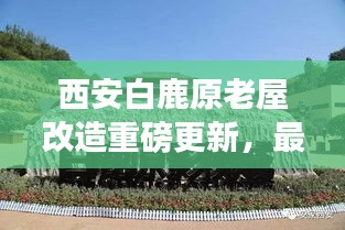 西安白鹿原老屋改造重磅更新，最新动态揭秘