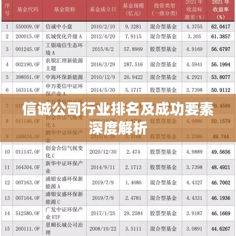 信诚公司行业排名及成功要素深度解析
