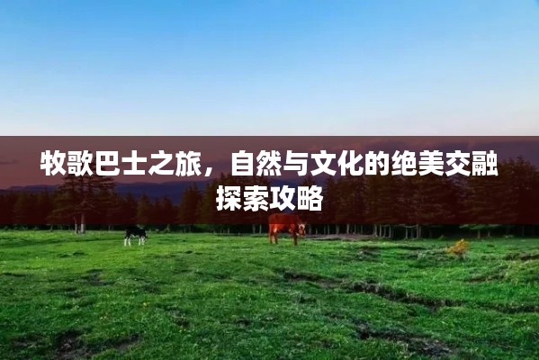 牧歌巴士之旅，自然与文化的绝美交融探索攻略