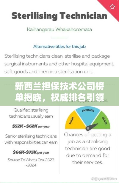 新西兰担保技术公司榜单揭晓，权威排名引领行业风向标