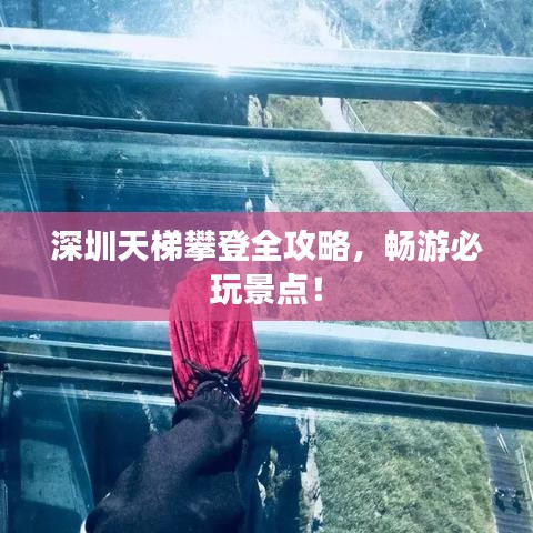 深圳天梯攀登全攻略，畅游必玩景点！