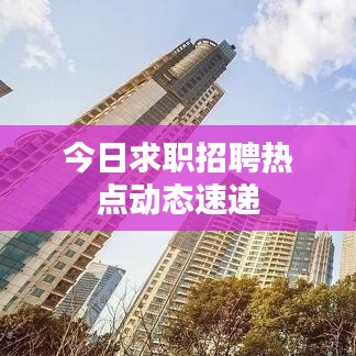 今日求职招聘热点动态速递
