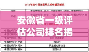 安徽省一级评估公司排名揭晓，影响力与实力并存！