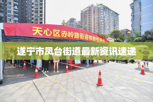 遂宁市凤台街道最新资讯速递
